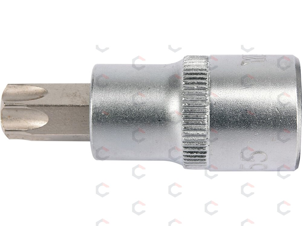 Antgalis įpresuotas į galvutę 1/2", T55 x 55 mm (YT-04317) 2