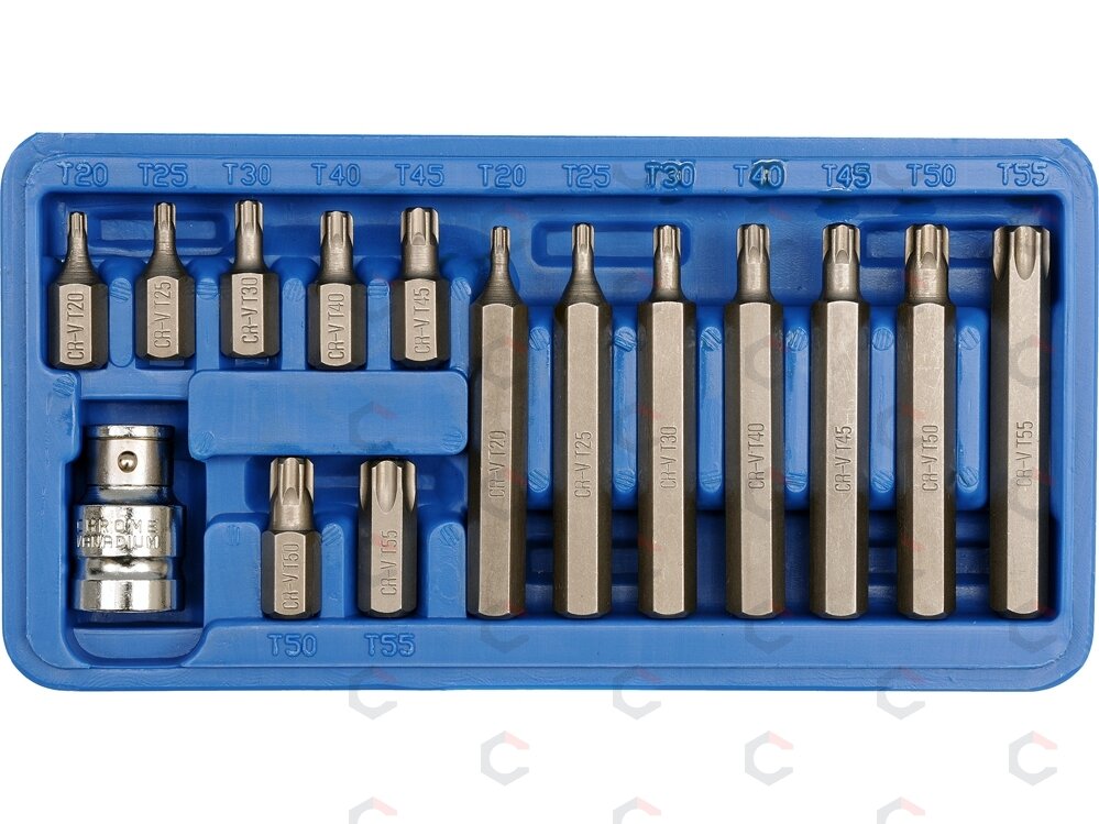 Antgalių rinkinys | T-Star (Torx) | 15 vnt. (66580) Antgalių rinkinys | T-Star (Torx) | 15 vnt. (66580)