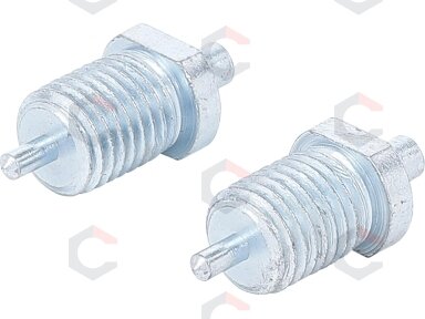 Atsarginiai kaiščiai kaištiniam raktui | 2,5–4 mm | 2 vnt. | BGS (74397) Atsarginiai kaiščiai kaištiniam raktui | 2,5–4 mm | 2 vnt. | BGS (74397)