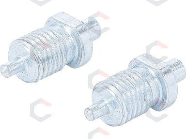 Atsarginiai kaiščiai kaištiniam raktui | 3–5 mm | 2 vnt. | BGS (74398) Atsarginiai kaiščiai kaištiniam raktui | 3–5 mm | 2 vnt. | BGS (74398)