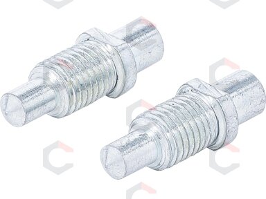 Atsarginiai kaiščiai kaištiniam raktui | 6–8 mm | 2 vnt. | BGS (74399) Atsarginiai kaiščiai kaištiniam raktui | 6–8 mm | 2 vnt. | BGS (74399)