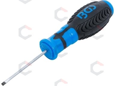 Atsuktuvas | Plokščias SL 3 mm | Ašmenų ilgis 60 mm (4928) Atsuktuvas | Plokščias SL 3 mm | Ašmenų ilgis 60 mm (4928)