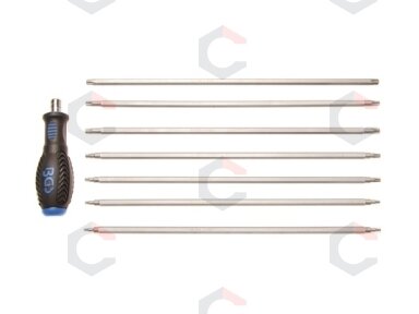 TORX ir TORX Plus atsuktuvų rinkinys | T10–T40 | 8 vnt. (2325)