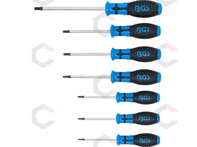 Atsuktuvų rinkinys | T-Star su skyle (Torx) | T10 - T40 | 7 vnt. (7841)