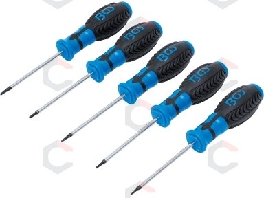 Atsuktuvų rinkinys | T-Star su skyle (Torx) | T6 - T10 | 5 vnt. (6826)