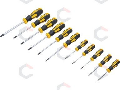 Atsuktuvų rinkinys | T-Star su skyle (Torx) | T6-T40 | 11 vnt. (7845)
