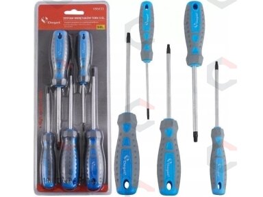 Atsuktuvų rinkinys | T-Star (Torx) | T10 - T30 | 5 vnt. (SK5030)