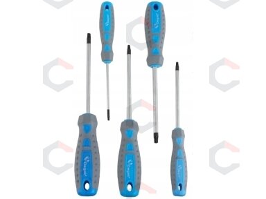 Atsuktuvų rinkinys | T-Star (Torx) | T10 - T30 | 5 vnt. (SK5030)