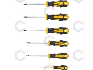 Atsuktuvų rinkinys | T-Star (Torx) T10-T30 | 6 vnt. (35826)