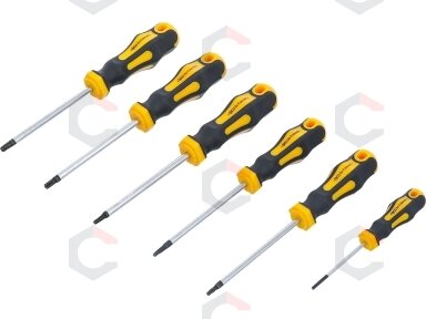 Atsuktuvų rinkinys | T-Star (Torx) T10-T30 | 6 vnt. (35826)