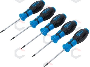 Atsuktuvų rinkinys | T-Star (Torx) | T6 - T10 | 5 vnt. (6828)