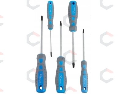 Atsuktuvų rinkinys | T-Star (Torx) | T10 - T30 | 5 vnt. (SK5030) Atsuktuvų rinkinys | T-Star (Torx) | T10 - T30 | 5 vnt. (SK5030)
