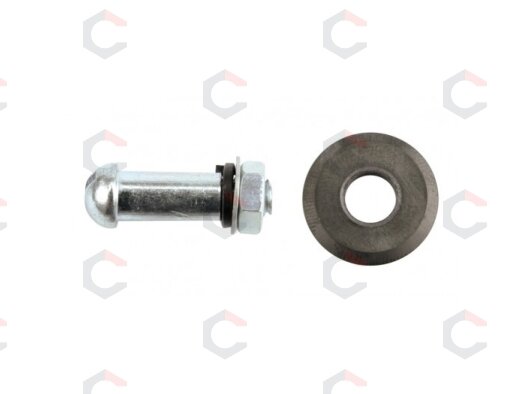 Atsarginis peiliukas su varžtu plytelių pjaustymo staklėms | 16x6x3,0 mm (03160) Atsarginis peiliukas su varžtu plytelių pjaustymo staklėms | 16x6x3,0 mm (03160)