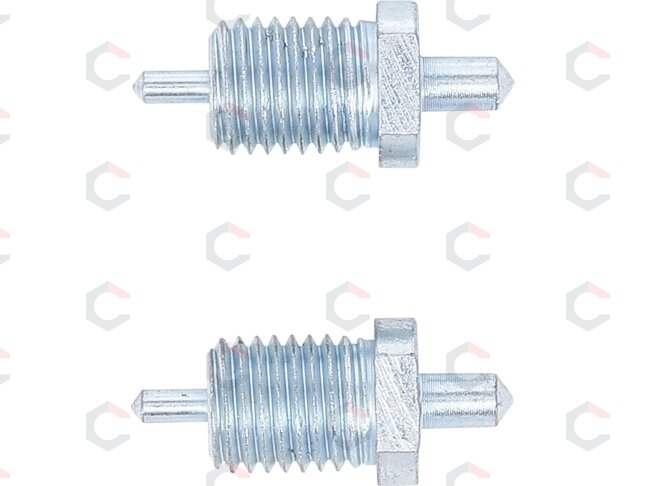 Atsarginiai kaiščiai kaištiniam raktui | 2,5–4 mm | 2 vnt. | BGS (74397) 2 Atsarginiai kaiščiai kaištiniam raktui | 2,5–4 mm | 2 vnt. | BGS (74397) 2