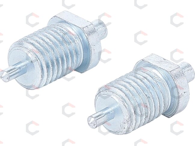Atsarginiai kaiščiai kaištiniam raktui | 2,5–4 mm | 2 vnt. | BGS (74397) Atsarginiai kaiščiai kaištiniam raktui | 2,5–4 mm | 2 vnt. | BGS (74397)