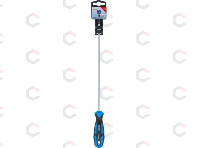 Atsuktuvas | T-Star (Torx) T15 | ilgas tipas | 250 mm (74542B) 3