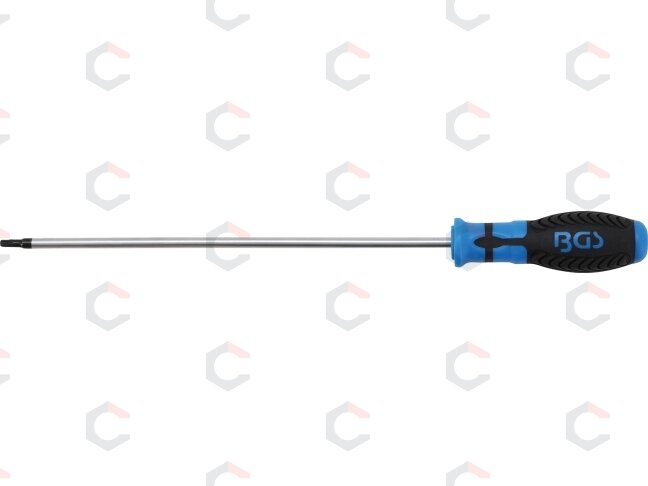 Atsuktuvas | T-Star ("Torx") T25 | ilgas tipas | 250 mm (4946) Atsuktuvas | T-Star ("Torx") T25 | ilgas tipas | 250 mm (4946)