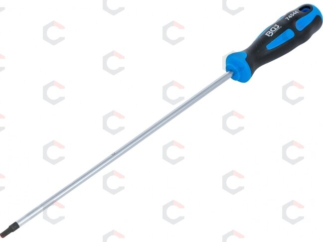 Atsuktuvas | T-Star (Torx) T25 | ilgas tipas | 250 mm (74544)