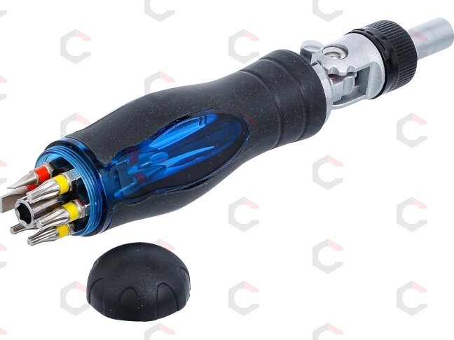 Atsuktuvo antgalių rinkinys su šarnyrine terkšle | 1/4" | 14 vnt. (70053) 4 Atsuktuvo antgalių rinkinys su šarnyrine terkšle | 1/4" | 14 vnt. (70053) 4