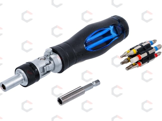 Atsuktuvo antgalių rinkinys su šarnyrine terkšle | 1/4" | 14 vnt. (70053) Atsuktuvo antgalių rinkinys su šarnyrine terkšle | 1/4" | 14 vnt. (70053)