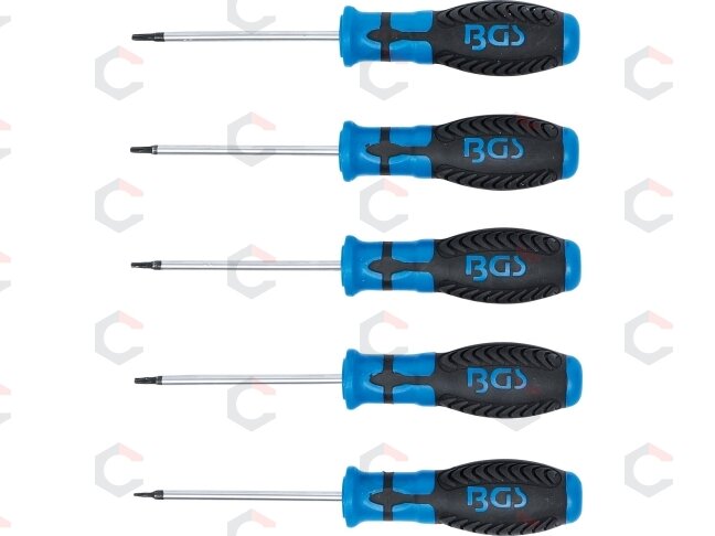 Atsuktuvų rinkinys | T-Star su skyle (Torx) | T6 - T10 | 5 vnt. (6826) 2