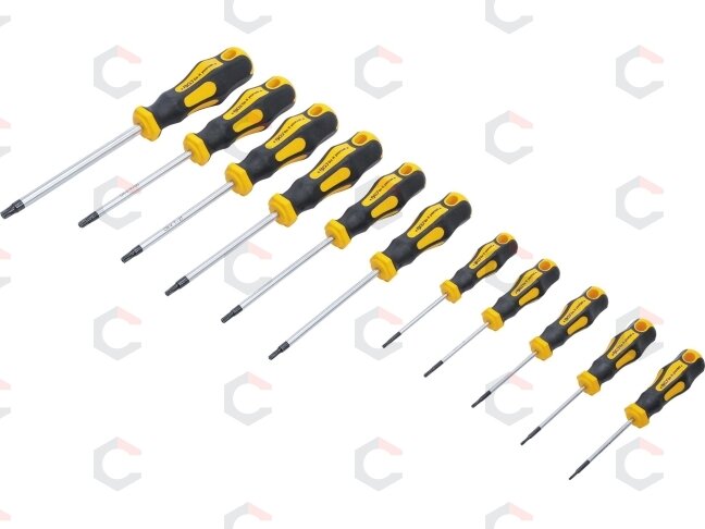 Atsuktuvų rinkinys | T-Star su skyle (Torx) | T6-T40 | 11 vnt. (7845)