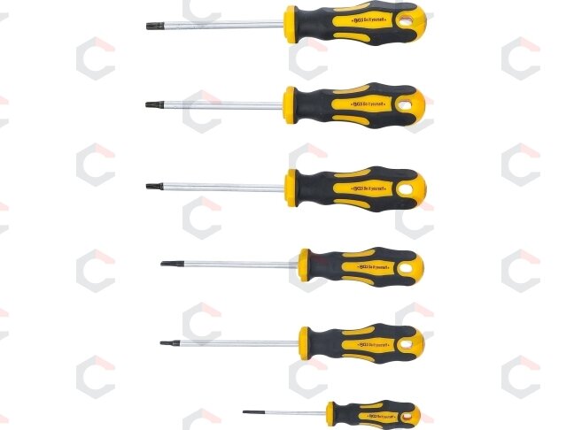 Atsuktuvų rinkinys | T-Star (Torx) T10-T30 | 6 vnt. (35826) 1