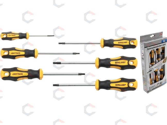 Atsuktuvų rinkinys | T-Star (Torx) T10-T30 | 6 vnt. (35826) 3