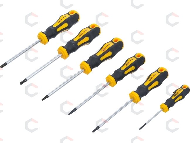 Atsuktuvų rinkinys | T-Star (Torx) T10-T30 | 6 vnt. (35826)