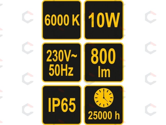 COB LED lempa 10W su diodu, 800LM (82841) 3