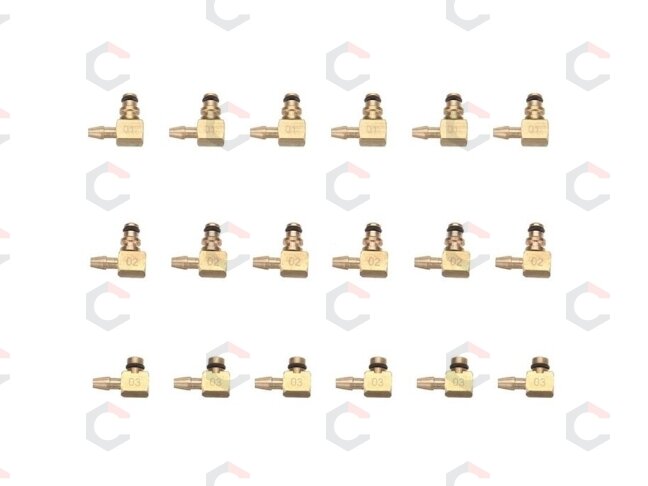 Common Rail diagnostinis perpylimo rinkinys | dyzeliniams varikliams | 6 cilindrų | 31 vnt. (HS-A2048) Common Rail diagnostinis perpylimo rinkinys | dyzeliniams varikliams | 6 cilindrų | 31 vnt. (HS-A2048)