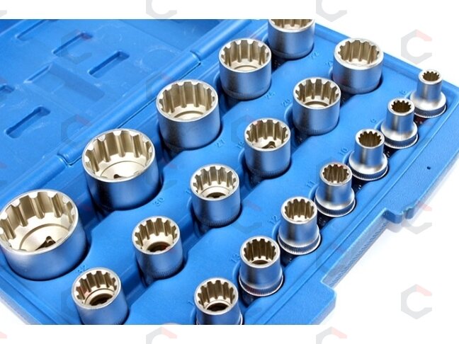 Daugiafunkcinių galvučių rinkinys Spline | 12,5 mm (1/2") | 8-32 mm | 19 vnt. (KR121019) 4 Daugiafunkcinių galvučių rinkinys Spline | 12,5 mm (1/2") | 8-32 mm | 19 vnt. (KR121019) 4