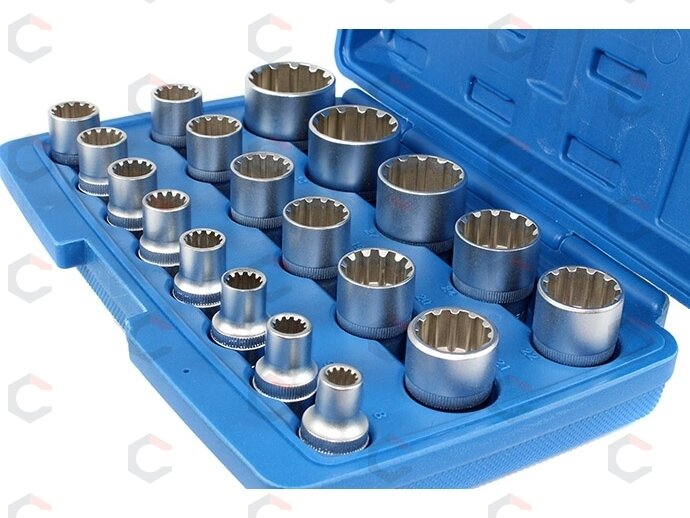 Daugiafunkcinių galvučių rinkinys Spline | 12,5 mm (1/2") | 8-32 mm | 19 vnt. (KR121019) 3 Daugiafunkcinių galvučių rinkinys Spline | 12,5 mm (1/2") | 8-32 mm | 19 vnt. (KR121019) 3