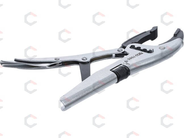 Fiksuojamos replės | reguliuojamos 4 kryptimis | gilios lūpos | prancūziškos | 250 mm (7085) 1 Fiksuojamos replės | reguliuojamos 4 kryptimis | gilios lūpos | prancūziškos | 250 mm (7085) 1