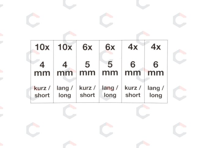 Fiksuojamų varžtų / kaiščių asortimentas | 40 vnt. (8139) 4