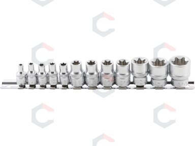 Galvučių rinkinys E-Tipas | 6.3 mm (1/4") / 10 mm (3/8") | 12 vnt. (2038) Galvučių rinkinys E-Tipas | 6.3 mm (1/4") / 10 mm (3/8") | 12 vnt. (2038)