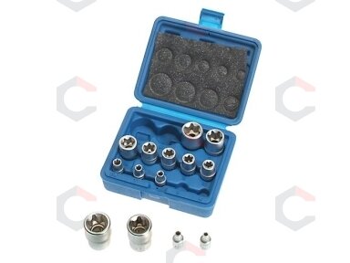 Galvučių rinkinys E-Star varžtams 14 vnt, 1/4"+3/8"+1/2", E4-E24 (KR121014) Galvučių rinkinys E-Star varžtams 14 vnt, 1/4"+3/8"+1/2", E4-E24 (KR121014)