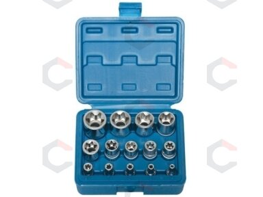 Galvučių rinkinys E-Star varžtams 14 vnt, 1/4"+3/8"+1/2", E4-E24 (KR121014) Galvučių rinkinys E-Star varžtams 14 vnt, 1/4"+3/8"+1/2", E4-E24 (KR121014)