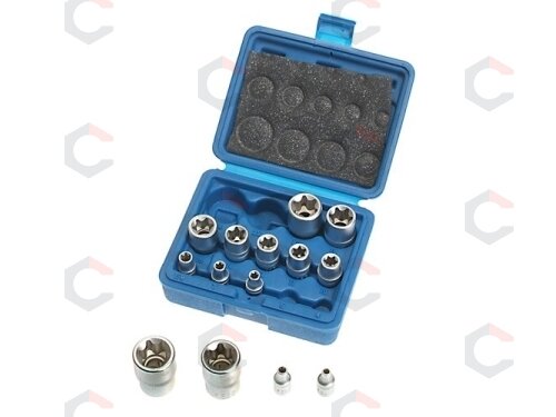 Galvučių rinkinys E-Star varžtams 14 vnt, 1/4"+3/8"+1/2", E4-E24 (KR121014) 1 Galvučių rinkinys E-Star varžtams 14 vnt, 1/4"+3/8"+1/2", E4-E24 (KR121014) 1