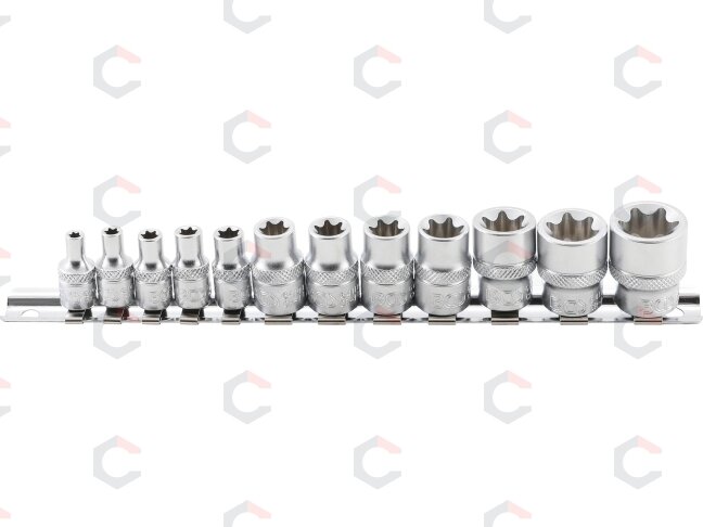 Galvučių rinkinys E-Tipas | 6.3 mm (1/4") / 10 mm (3/8") | 12 vnt. (2038) Galvučių rinkinys E-Tipas | 6.3 mm (1/4") / 10 mm (3/8") | 12 vnt. (2038)