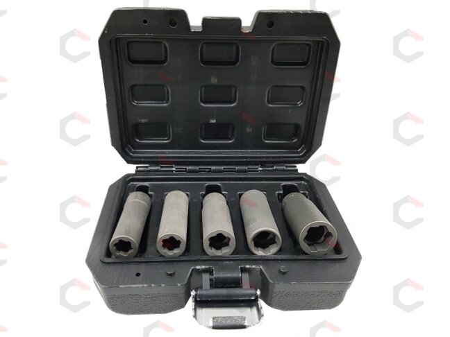 Galvučių rinkinys sugadintiems varžtams | metrinės/colinės | ilgos | 10 mm (3/8") | 10 - 16 mm | 5 vnt. (DNR5) Galvučių rinkinys sugadintiems varžtams | metrinės/colinės | ilgos | 10 mm (3/8") | 10 - 16 mm | 5 vnt. (DNR5)