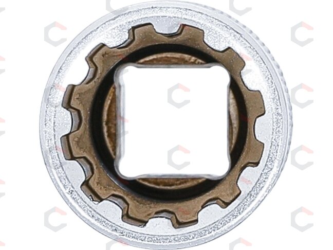 Galvutė daugiafunkcinė ilga | 10 mm (3/8") | 15 mm (10355) 1 Galvutė daugiafunkcinė ilga | 10 mm (3/8") | 15 mm (10355) 1