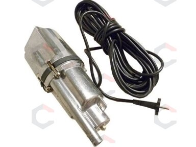 Giluminis vandens siurblys | 250 W (79942V)