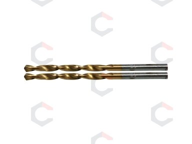 Grąžtai metalui | HSS-G | titano nitridas | 3,0 mm | 2 vnt. (2040-3)