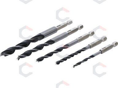 Grąžtų medžiui rinkinys | 1/4" antgalis | 6 - 14 mm | 5 vnt. (50799)