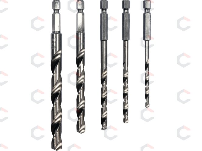 Grąžtų rinkinys su Hex 6.3 mm (1/4") galu | HSS 4241 | 4 - 10 mm | 5 vnt. (21650) Grąžtų rinkinys su Hex 6.3 mm (1/4") galu | HSS 4241 | 4 - 10 mm | 5 vnt. (21650)