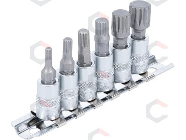 Įpresuotų antgalių rinkinys | 6.3 mm (1/4") | Spline (XZN) M4 - M12 | 6 vnt. (2162) Įpresuotų antgalių rinkinys | 6.3 mm (1/4") | Spline (XZN) M4 - M12 | 6 vnt. (2162)