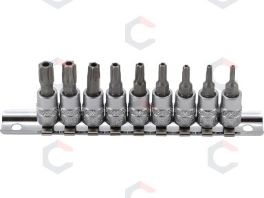 Įpresuotų antgalių rinkinys | 6.3 mm (1/4") | T-Star su skyle (Torx) T10 - T50 (2165)