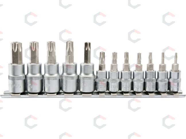 Įpresuotų antgalių rinkinys 1/4"+3/8", 12 vnt T-Star su skylėmis T8-T55 (YT-04332) Įpresuotų antgalių rinkinys 1/4"+3/8", 12 vnt T-Star su skylėmis T8-T55 (YT-04332)