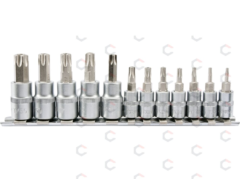 Įpresuotų antgalių rinkinys 1/4"+3/8", 12 vnt T-Star su skylėmis T8-T55 (YT-04332) Įpresuotų antgalių rinkinys 1/4"+3/8", 12 vnt T-Star su skylėmis T8-T55 (YT-04332)